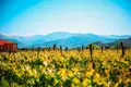 Wine is not just taste and aroma — it's the atmosphere and location that create it!