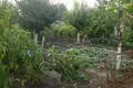 Wohnung  Sokolovo, Bulgarien