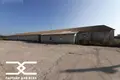 Warehouse 1 049 m² in Zodzinski selski Savet, Belarus