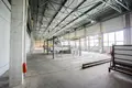 Manufacture 5 rooms 3 983 m² in Krychau, Belarus