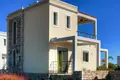 Commercial property 854 m² in Pylonas, Greece