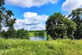 Land  Voropaevskiy selskiy Sovet, Belarus
