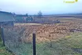 Haus 43 m² Ozyaritska Slabadski rural council, Belarus