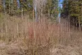 Grundstück  Kalodziscanski selski Savet, Belarus