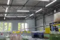 Офис 11 комнат 903 м² в Логойске, Беларусь