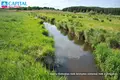 Land  Riese, Lithuania
