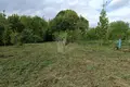 Haus 41 m² Ravanicy, Belarus