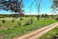 Land  Melekonys, Lithuania