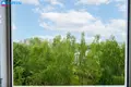 Wohnung 3 zimmer 50 m² Vilnius, Litauen