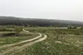 Land  Ambrolauri Municipality, Georgia