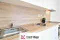 1 bedroom apartment 21 m² okres Brno-mesto, Czech Republic