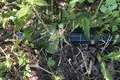 Земельные участки  Беларучский сельский Совет, Беларусь