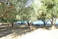 Land 1 room 4 500 m² Vineyards, Greece