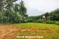 Parcelas  Pa Khlok, Tailandia
