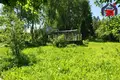 Haus 25 m² Aliachnovicki sielski Saviet, Belarus