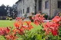 Villa 54 Zimmer 1 550 m² Metropolitan City of Florence, Italien