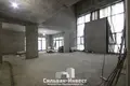 Casa 506 m² Minsk, Bielorrusia