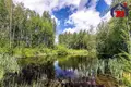 Atterrir  Lasanski sielski Saviet, Bélarus