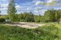 Land  Alahnovicy, Belarus
