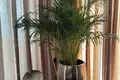 3 bedroom villa 257 m² Budva, Montenegro