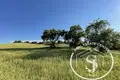 Producción 38 028 m² en Paliouri, Grecia