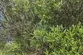Land 4 098 m² Nea Skioni, Greece