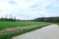 Atterrir 6 941 m² Konarskie, Pologne