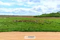 Land  Sitniki, Belarus