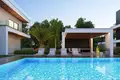 Casa 4 habitaciones 471 m² Koinoteta Agiou Tychona, Chipre