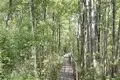 Cottage 6 rooms 174 m² Viarkudski sielski Saviet, Belarus