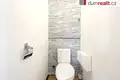 Wohnung 45 m² Neuhaus, Tschechien