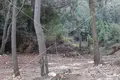 Land 1 995 m² Veli Losinj, Croatia