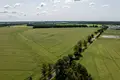 Land 170 708 m² Niepruszewo, Poland