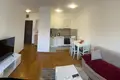 Apartamento 1 habitacion 43 m² Montenegro, Montenegro