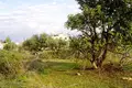 Atterrir  Grèce, Grèce