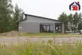 Коттедж 300 м² Колодищанский сельский Совет, Беларусь
