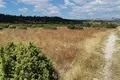 Land  Zabljak, Montenegro