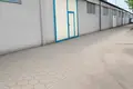 Apartment 325 m² in Oborniki, Poland