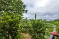 Дом 3 спальни 372 м² Roatan, Гондурас