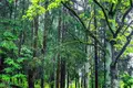 Дом 77 м² Колодищанский сельский Совет, Беларусь