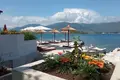 9 bedroom house 530 m² Krasici, Montenegro