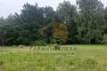 Parcelas  Radvanicki sielski Saviet, Belarús