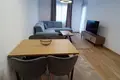 Apartamento 1 habitacion 452 m² Montenegro, Montenegro