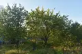 Parcelas  Morozovskoe gorodskoe poselenie, Rusia