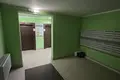 2 room apartment 70 m² Minsk, Belarus