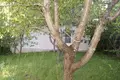 House 219 m² Marjaliva, Belarus