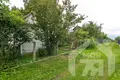Casa 33 m² Krasnienski sielski Saviet, Belarús