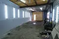 Gewerbefläche 50 m² Assipowitschy, Weißrussland
