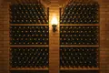 Operating premium class winery – cellar “Zenishi”, located in Kakheti, Sagarejo municipality, in the village of Khashmi