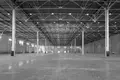 Warehouse 4 890 m² in Domodedovsky District, Russia